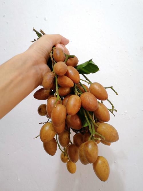 新鲜水果